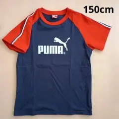 プーマ　150cm　ラグラン切り替え T シャツ　赤xネイビー　肩ライン　綿