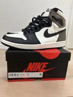 NIKE Air Jordan 1 Retro High OG 9 US