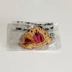 ディズニーランド 40周年ピンバッジ
