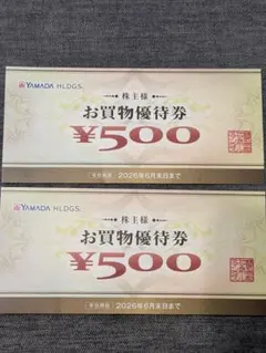 ヤマダ電機優待券