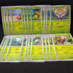 ポケモンカード　タネボー　コノハナ　ダーテング　進化ライン