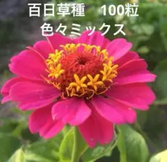 Ruby様 リクエスト 6点 まとめ商品