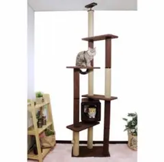 Item thumbnail for item 91602086-e9c7-426c-8c95-c5498c1d73f0