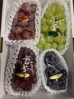 2025年最新】スチューベン アップルの人気アイテム - メルカリ