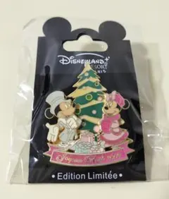 ディズニーランドリゾートパリ 限定ピンバッジ 2009