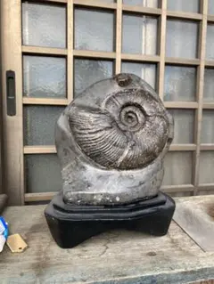 化石 アンモナイト メノウ　化石　台座付き　北海道産 アンモナイト 化石 メノウ 北海道産 台座付き