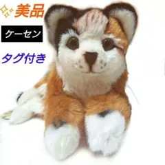 2026年最新】ケーセン 猫の人気アイテム - メルカリ