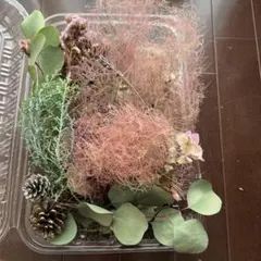 ドライフラワーとユーカリのセット　①