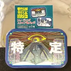 【都市伝説解体センター】トレーディングスクエア缶バッジ 廻屋 特定
