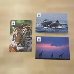 Item thumbnail for item 5249b44d-4b07-4f44-ba80-dc274c92aa22