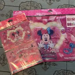 ディズニーリゾート　ミニー　パルパルーザ　クリアホルダー2枚　ポストカード2枚