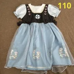 【着用1回】アナ雪　ワンピース半袖(110)