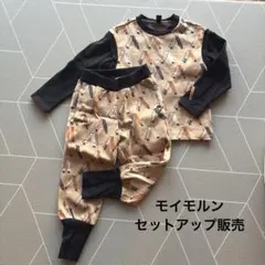 モイモルンmoimolnセットアップ120