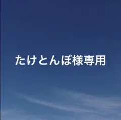 たけとんぼ【プロフ確認お願いします！】様 リクエスト 4点 まとめ商品