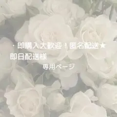 ・即購入大歓迎！匿名配送★即日配送様専用ページ