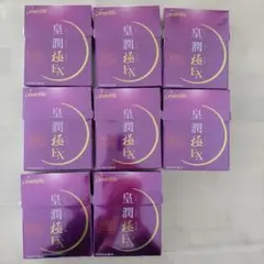 皇潤極EX 未開封 80粒×8箱 - メルカリ