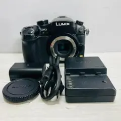 ☆美品☆パナソニック Panasonic DMC-GH1 ボディ #22767 - メルカリ