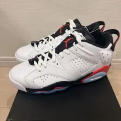 Air Jordan 6 Retro G 27.5cm DV1376-106