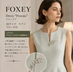 てんとう虫様美品foxeyワンピース ブローチおまとめ てんとう虫様美品foxeyワンピース ブローチおまとめ - メルカリ