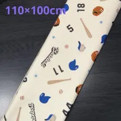 Item thumbnail for item 36c9b1d8-e206-40be-bcaa-81c3032839be