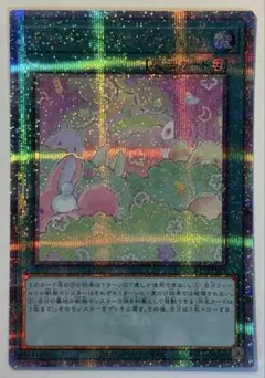 メルフィー　クオシク　25th 12枚セット 2026年最新】メルフィ クオシクの人気アイテム - メルカリ
