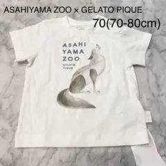 ジェラートピケ 旭山動物園 コラボ ベビー 半袖 アニマル 70-80cm 新品