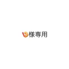 専用ページ
