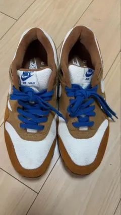 Nike Air Max 1 PRM Retro 