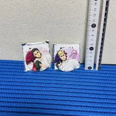 進撃の巨人 エレン エルヴィン アタックフェス 缶バッジ セット ゅ