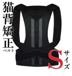 Item thumbnail for item 7bc592a2-1f22-4d16-a5bb-3650076fdf67