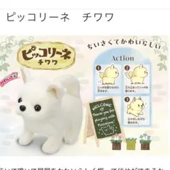 ほぼ新品♦︎イワヤ♦︎ピッコリーネ♦︎チワワ