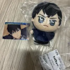 影山飛雄　ハイキュー!!ちびぐるみ　アニマルポンチョぬいぐるみ