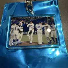 中日ドラゴンズ ベストショットシークレットアクキー　集合写真