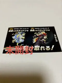 ポケモンZA発売直前号 色違いキャンペーン