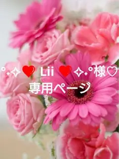 °˖✧❤️ Lii ❤️✧˖°様♡専用ページ.。.:*♡✿ฺ