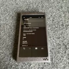 2026年最新】nw-a36の人気アイテム - メルカリ
