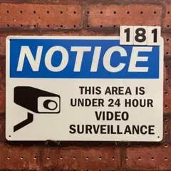 Item thumbnail for item 95d1b4c5-3aac-4015-9c9a-bb7a0d3d2f1c