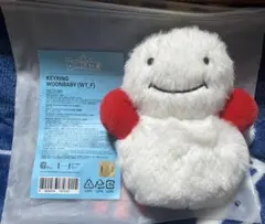 BOYNEXTDOOR ウナク　プネクド　ウンアギ　キーリング