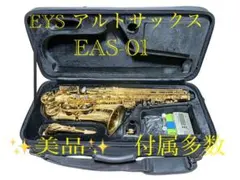 2026年最新】EYS アルトサックスの人気アイテム - メルカリ