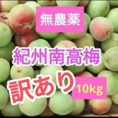 激安！今だけ！和歌山産 南高梅 10kg 訳あり品 傷や斑点有り - メルカリ