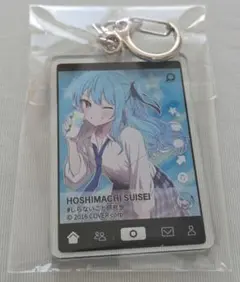 ホロライブ しらないこと研究会 Gratte しらけん すいせい 缶バッジ