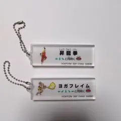 ストリートファイター キャラクターグッズ