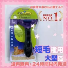 Item thumbnail for item 6f202cd1-e9f9-4ac6-946a-942cb868d56c