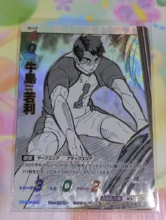 2025年最新】バボカ 牛島若利の人気アイテム - メルカリ