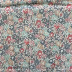 Item thumbnail for item 746e13d7-136c-452b-ae2a-aac029a895cb