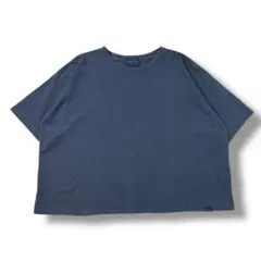 PENDLETON ペンドルトン 短丈 tシャツ ワイドシルエット ショート丈のサムネイル