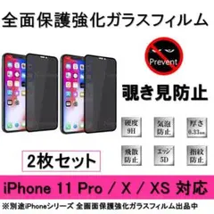 iPhone 11Pro/X/XS 覗き見防止全面保護強化ガラスフィルム2枚