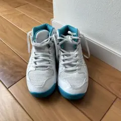 アシックス　ダンクショット　23