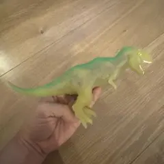 &co. アンドコ ギガノトサウルス