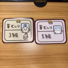 CASETiFY ちいかわ 草むしり検定3級 - メルカリ